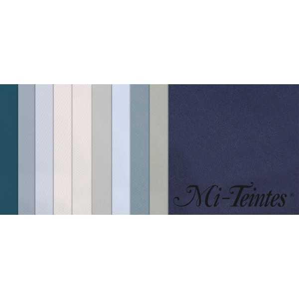 Pack 10 Hojas 50x65 Canson Mi-Teintes Tonos Frios