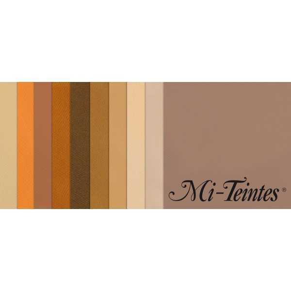 Pack 10 Hojas 50x65 Canson Mi-Teintes Tonos Tierra
