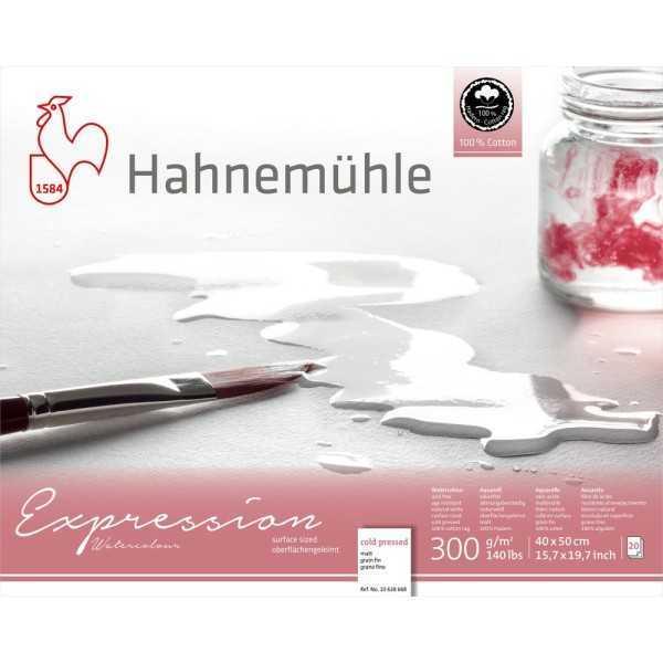 HAHNEMUHLE EXPRESSION BLOC ACUARELA 100% ALGODÓN 300GR.