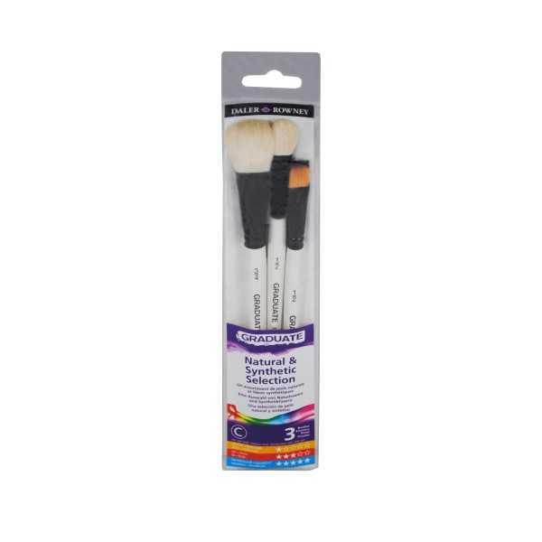 Daler-Rowney Graduate Set 2 Brochas Pelo Natural y 1 Pincel Plano Sintético Mango Corto