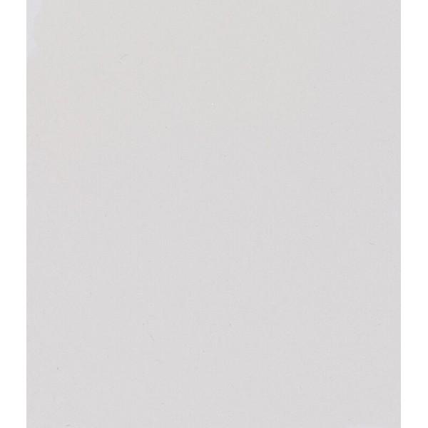 BLANCO TITANIO OPACO 101