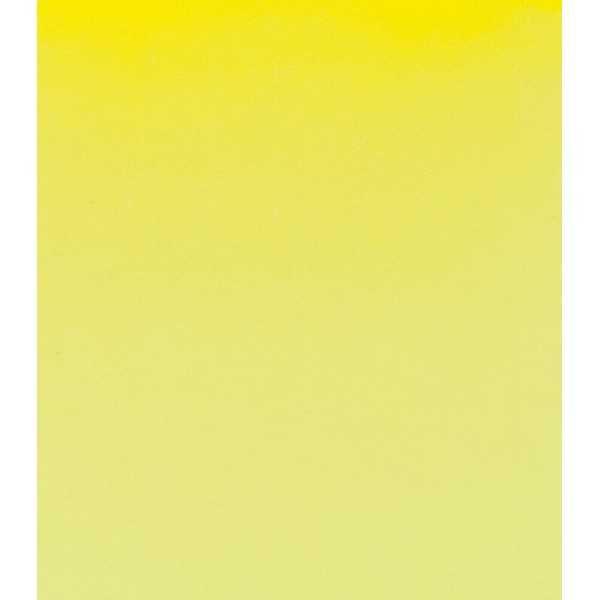 AMARILLO LIMON 215