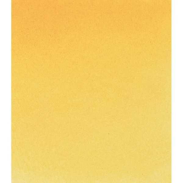 AMARILLO NAPOLES. 229