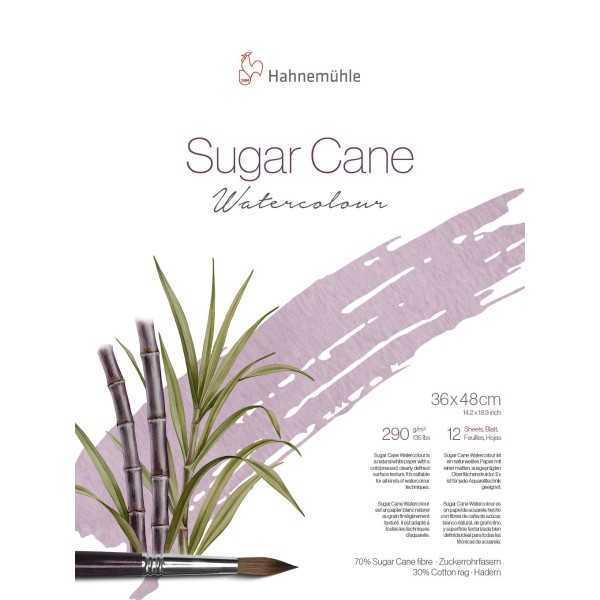 Hahnemuhle SUGAR CANE 290 gr. 70% Fibra Caña de Azúcar 30% Algodón