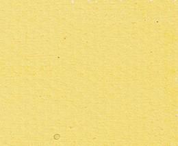 AMARILLO NAPOLES