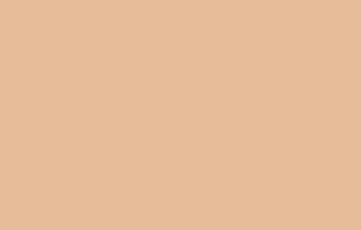 BEIGE ROJIZO - 132