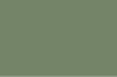 TIERRA VERDE - 172