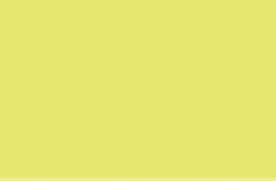 AMARILLO CAD. LIMON - 205