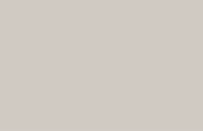 GRIS CALIDO I - 270