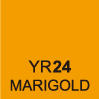 Marigold YR24