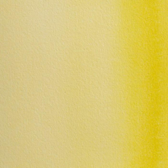AMARILLO CADM CLARO 311