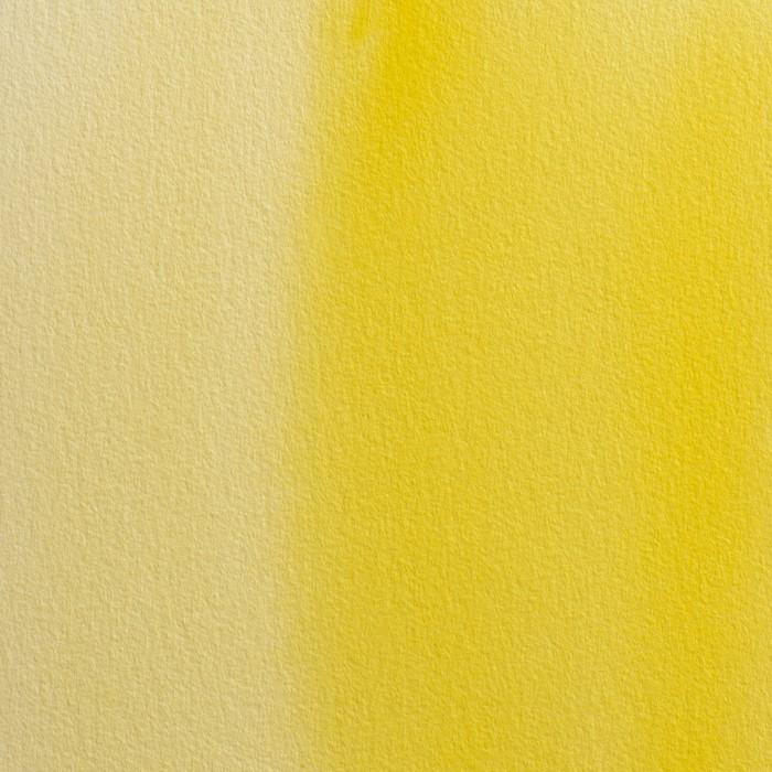 AMARILLO INDIO 317