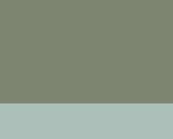 GRIS AMARILLO L0256