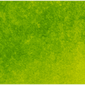 Bright Green Lake 116