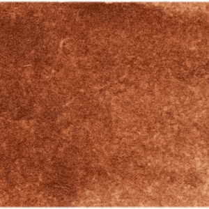 Burnt Sienna 125