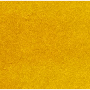 Indian Yellow 203