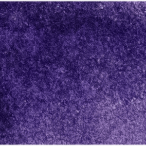 Imperial Purple 219