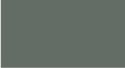 GRIS CHARTREUX - 106