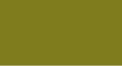 BRONCE - 655