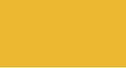 AMARILLO DORADO - 751