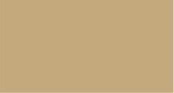 BEIGE ARENA - 815