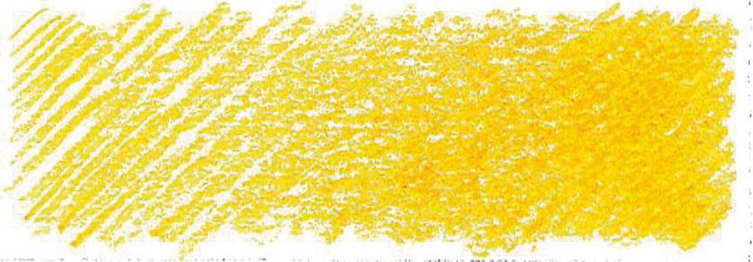 AMARILLO CANARIO
