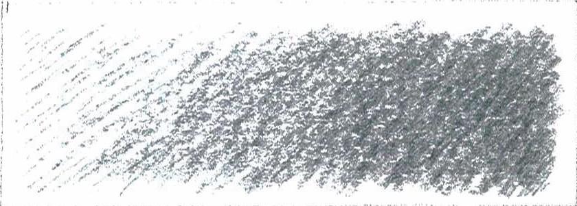 GRIS PLATA