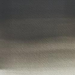 GRIS OSWALD Nª428