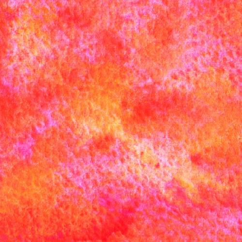 Bourke's Parrot Pink G