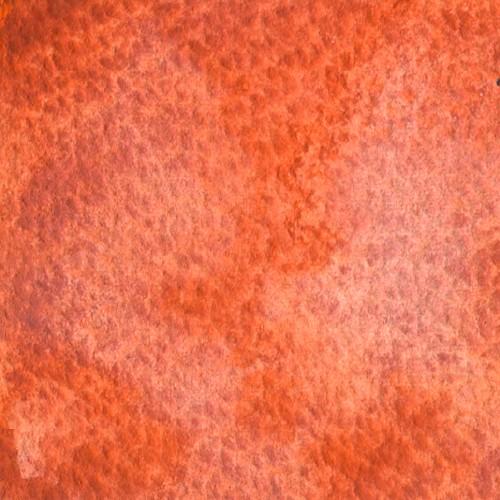 Flamingo Orange G