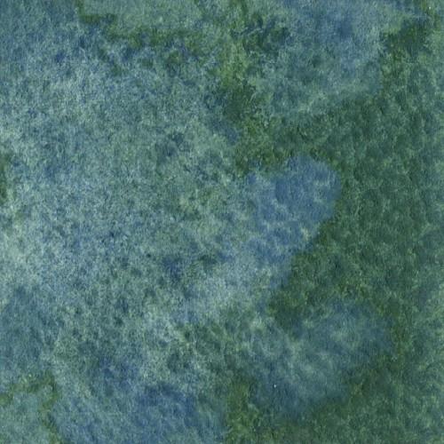 Echinops Green Grey G
