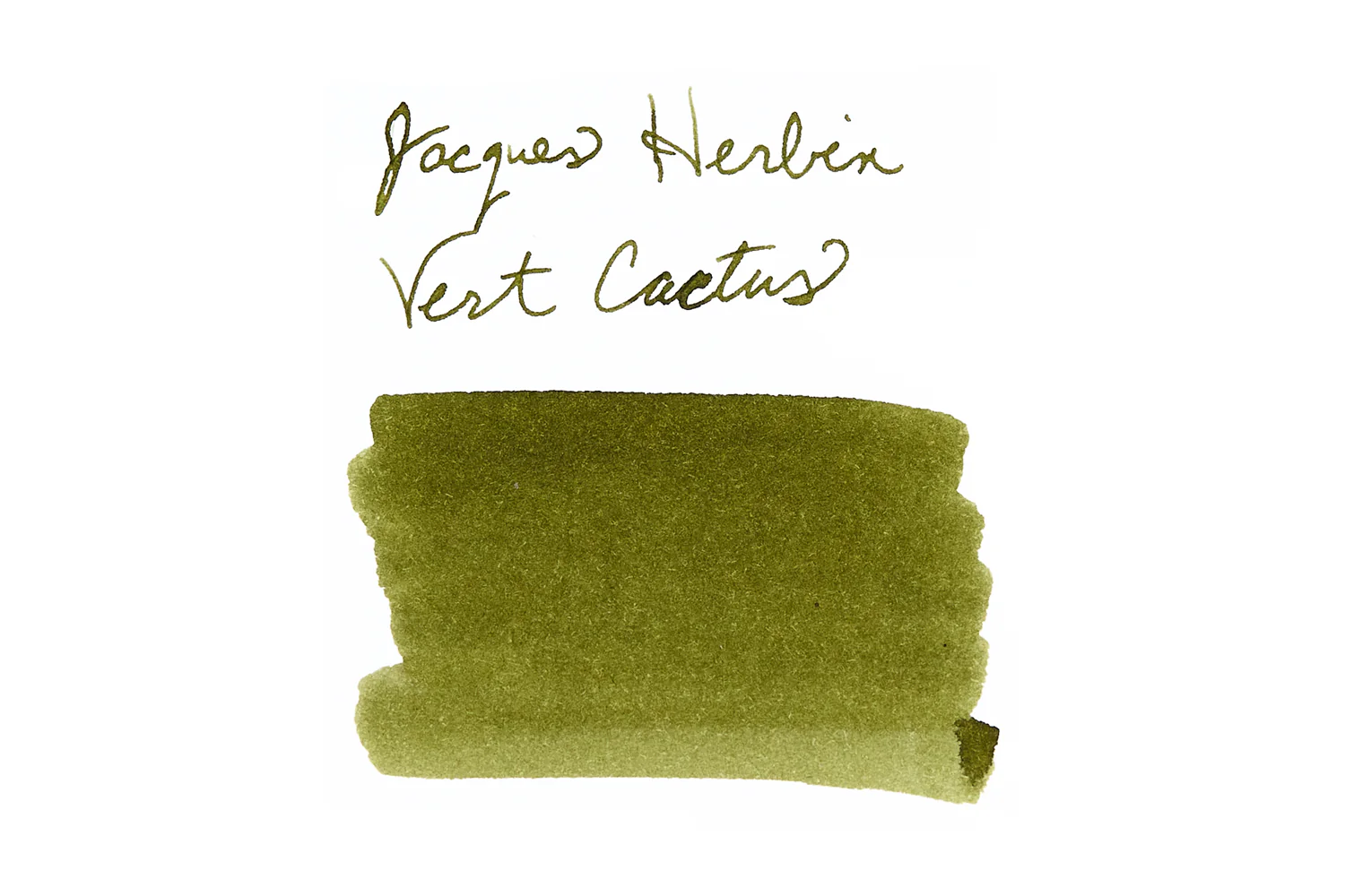VERT CACTUS