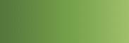 CADMIUM GREEN MIDDLE nº 568 serie C