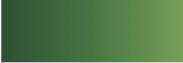 CADMIUM GREEN nº 569 serie C
