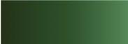 CADMIUM GREEN DEEP nº 570 serie C