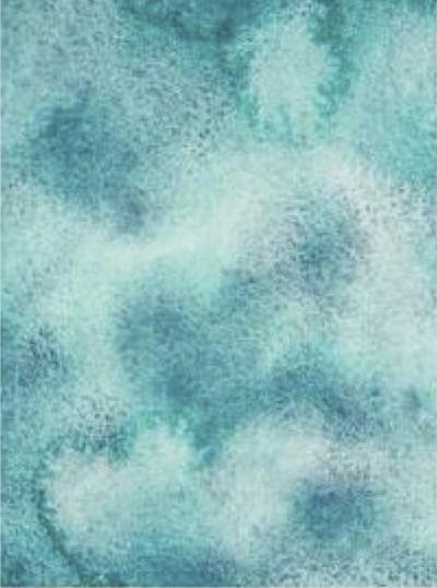 MINT DREAM 776