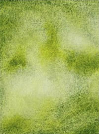 GREEN DREAM 777