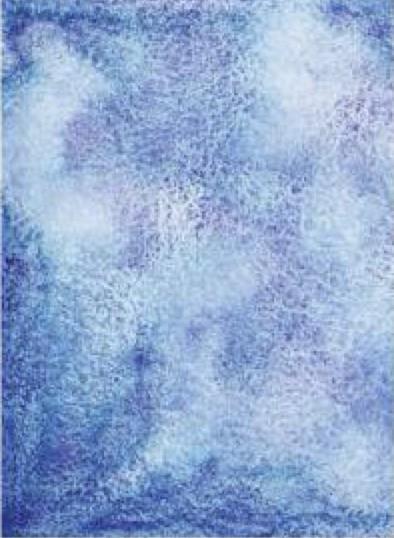 BLUE DREAM 570