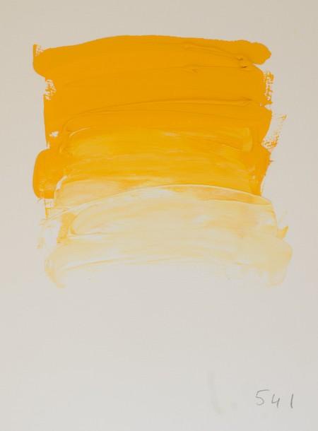 AMARILLO CAD. MEDIO SUSTI. 541
