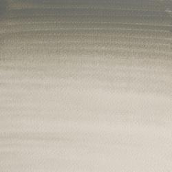 GRIS DE DAVY Nº217