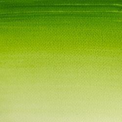 VERDE VEJIGA