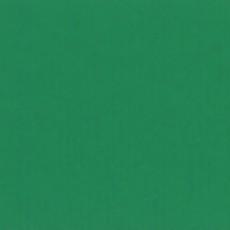 EMERALD GREEN NOVA - 545