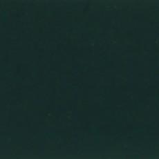 DARK GREEN - 548