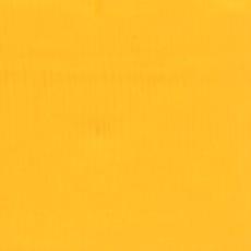 MARIGOLD - 532