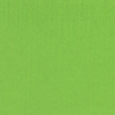 CADMIUM GREEN PALE - 544