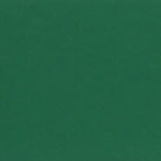 CADMIUM GREEN DEEP - 552