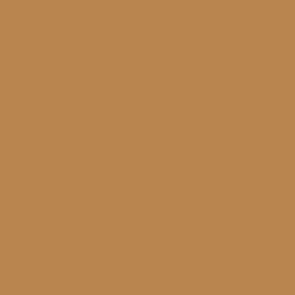 019 - Carne Medio 70860