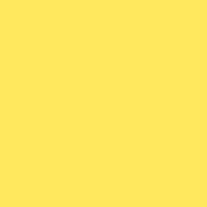 024 - Amarillo Claro 70949