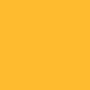 027 - Amarillo Mate 70953