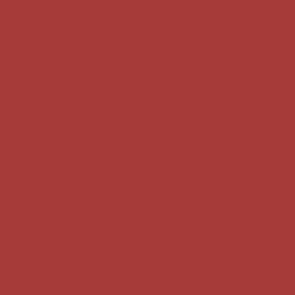 039 - Rojo Mate 70957